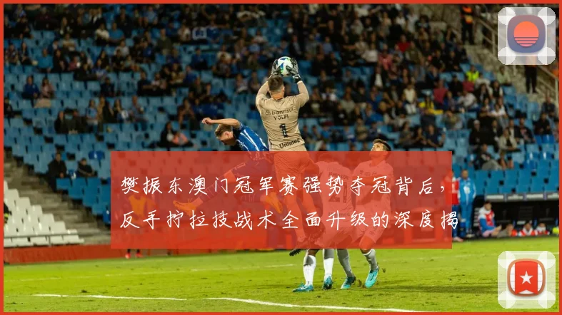 樊振东澳门冠军赛强势夺冠背后，反手拧拉技战术全面升级的深度揭秘
