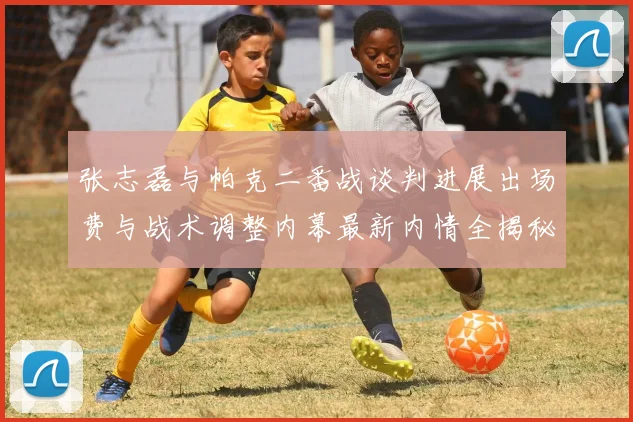 张志磊与帕克二番战谈判进展出场费与战术调整内幕最新内情全揭秘