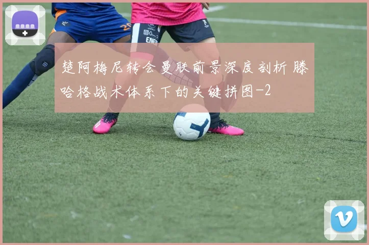 楚阿梅尼转会曼联前景深度剖析 滕哈格战术体系下的关键拼图