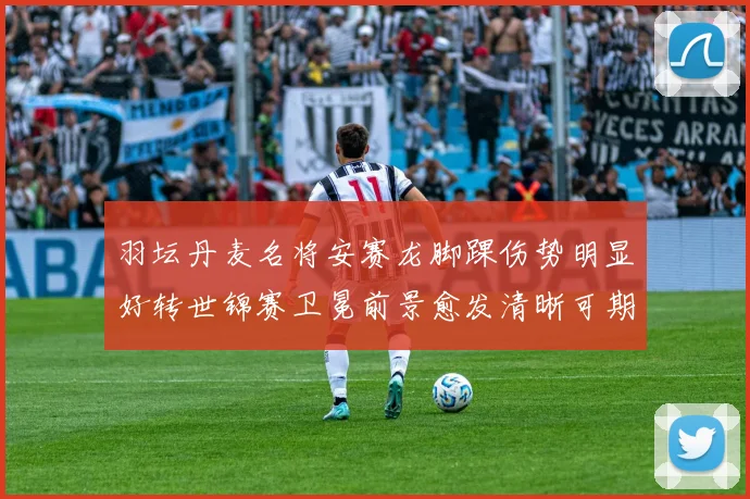 羽坛丹麦名将安赛龙脚踝伤势明显好转世锦赛卫冕前景愈发清晰可期