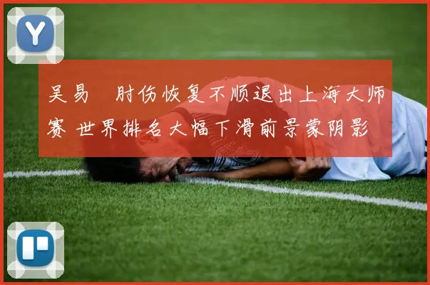 吴易昺肘伤恢复不顺退出上海大师赛 世界排名大幅下滑前景蒙阴影