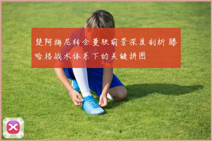 楚阿梅尼转会曼联前景深度剖析 滕哈格战术体系下的关键拼图