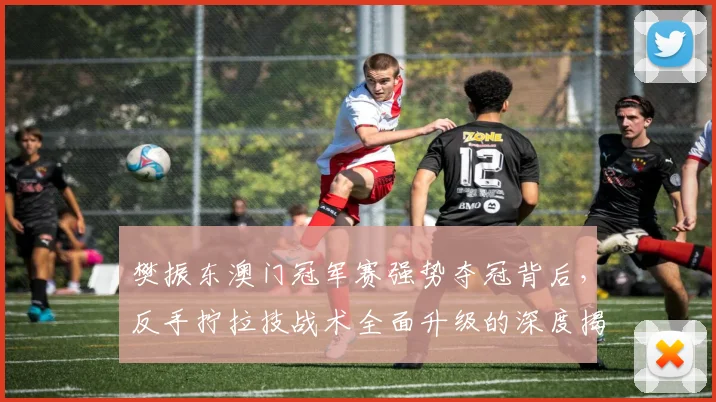 樊振东澳门冠军赛强势夺冠背后,反手拧拉技战术全面升级的深度揭秘
