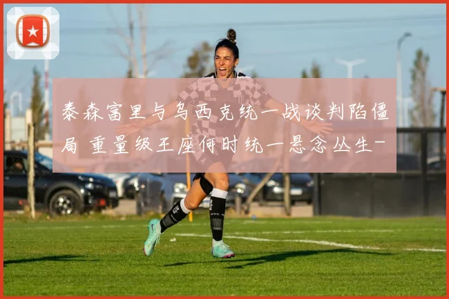 泰森富里与乌西克统一战谈判陷僵局 重量级王座何时统一悬念丛生