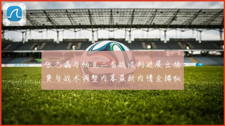 张志磊与帕克二番战谈判进展出场费与战术调整内幕最新内情全揭秘