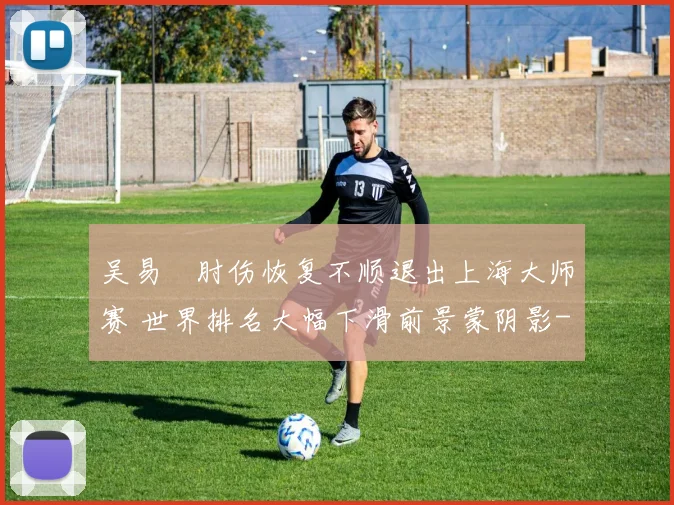 吴易昺肘伤恢复不顺退出上海大师赛 世界排名大幅下滑前景蒙阴影