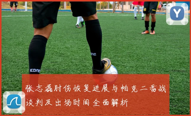 张志磊肘伤恢复进展与帕克二番战谈判及出场时间全面解析