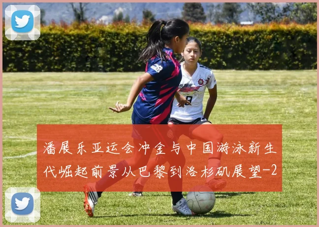 潘展乐亚运会冲金与中国游泳新生代崛起前景从巴黎到洛杉矶展望